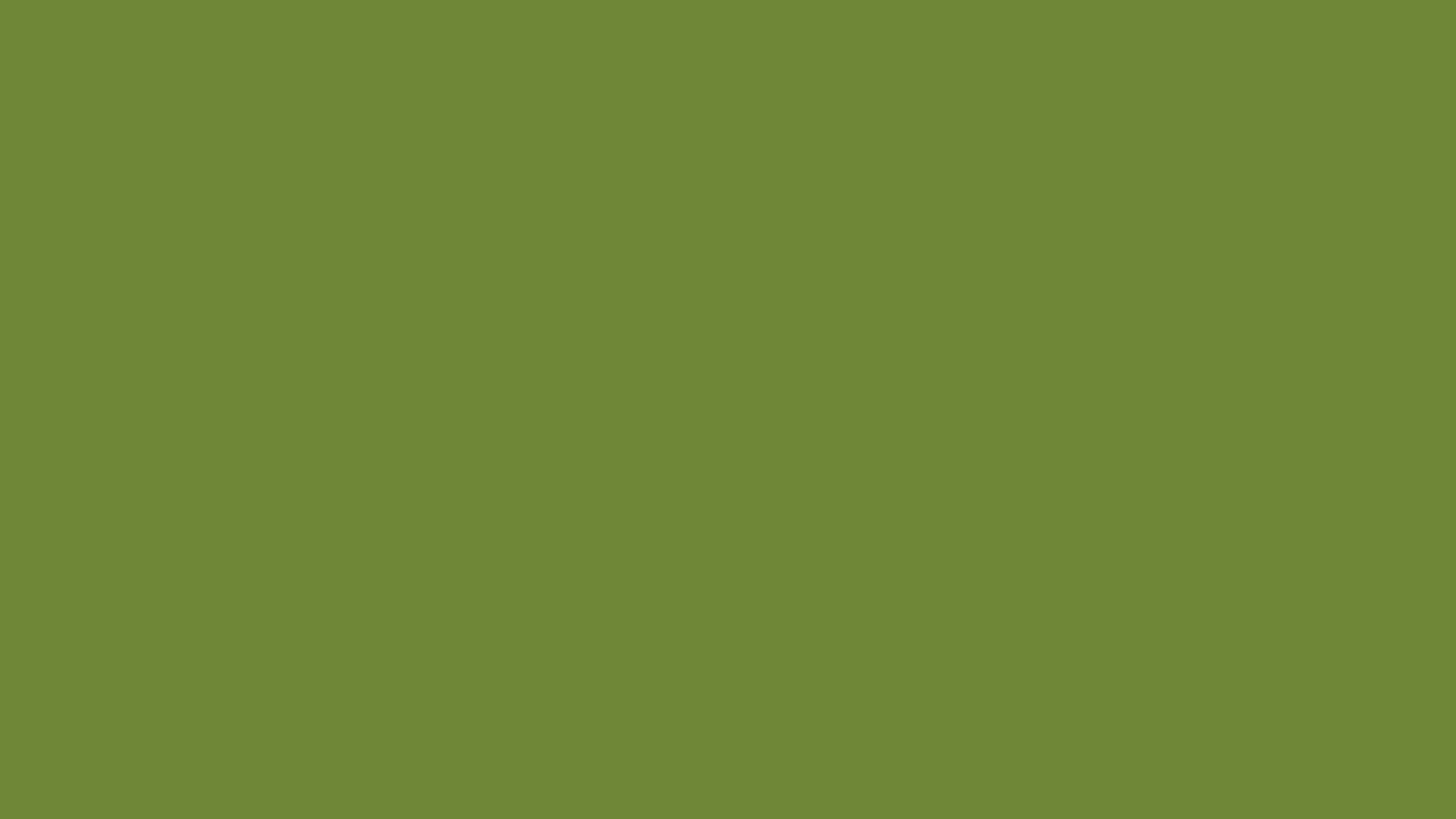 Download a free high-resolution solid color background image of Pantone 575 CP Color | Hex color Code #6f8737. Ideal for wallpapers, presentations, and digital art. #solidcolor #backgroundimage #color #6f8737