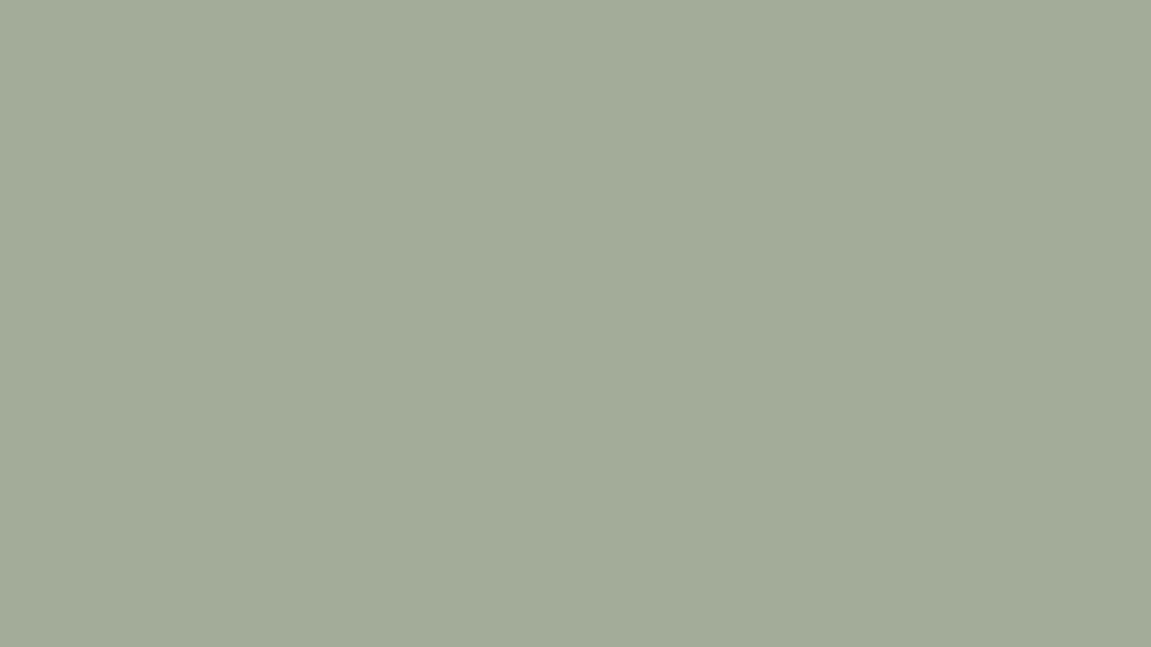 #a3ac99 Solid Color Image