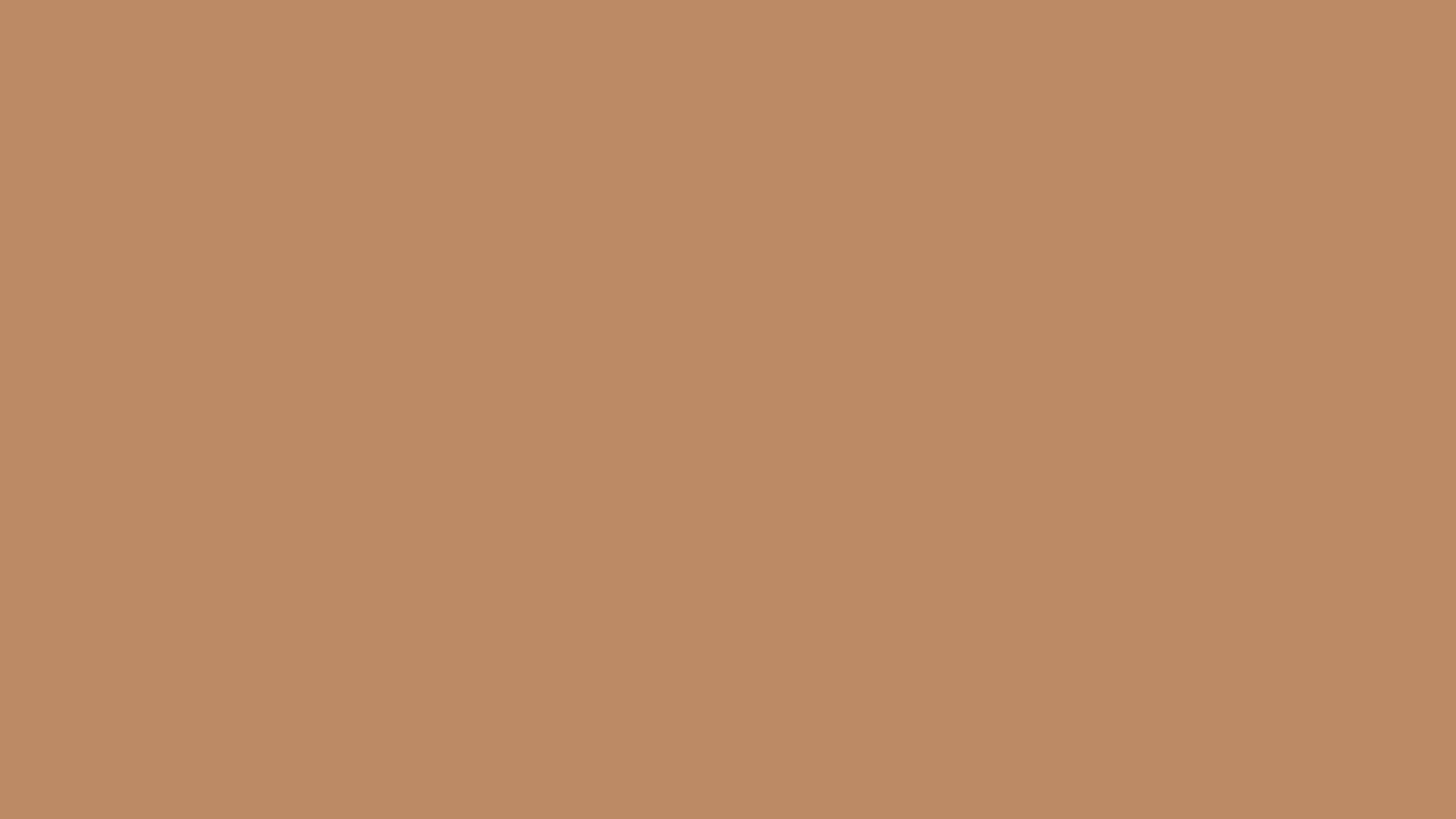 Download a free high-resolution solid color background image of Pantone 16-1235 Tpx Sandstorm Color | Hex color Code #bc8a65. Ideal for wallpapers, presentations, and digital art. #solidcolor #backgroundimage #color #bc8a65