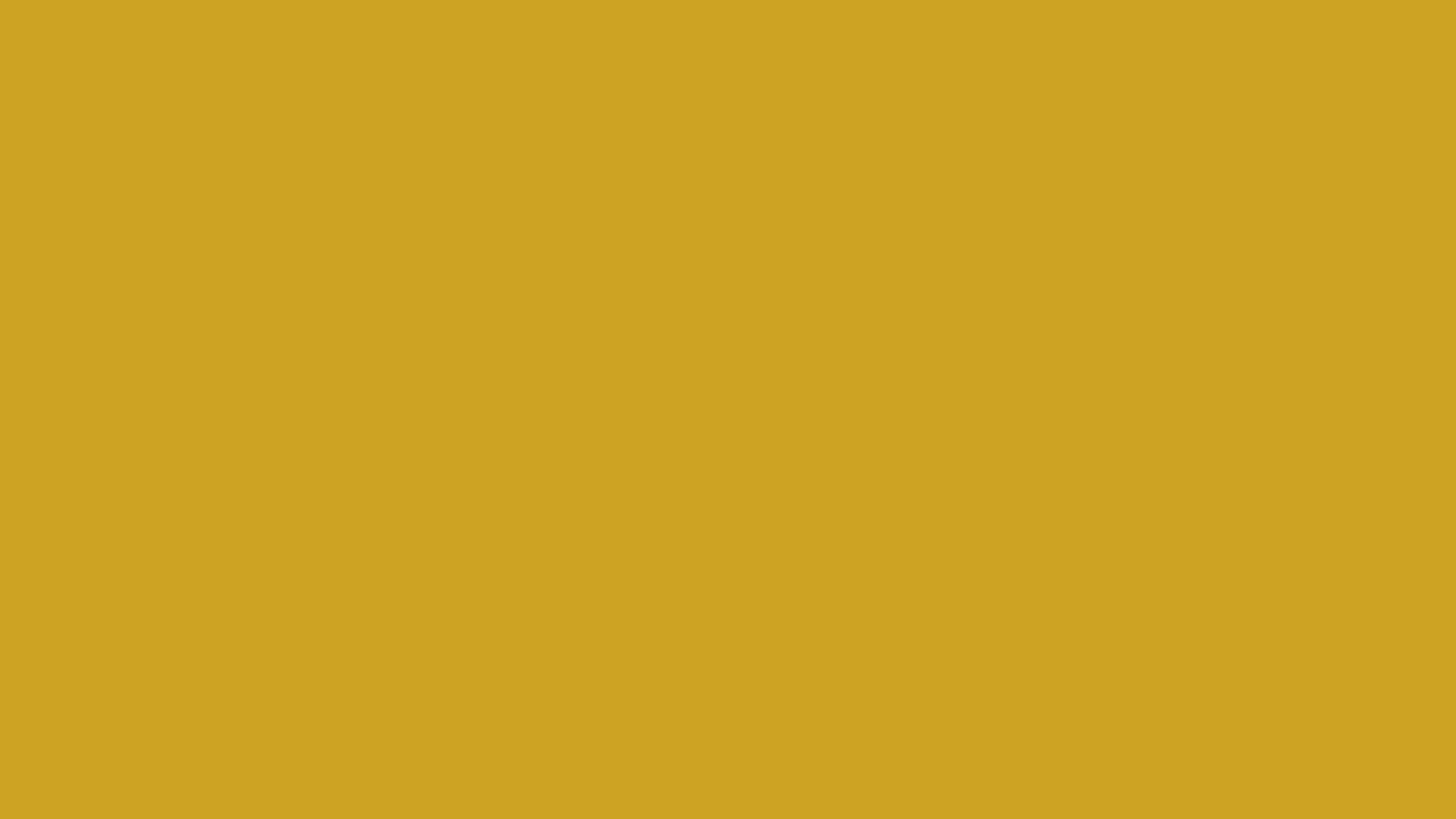 Download a free high-resolution solid color background image of Pantone 15-0751 Tcx Lemon Curry Color | Hex color Code #cda323. Ideal for wallpapers, presentations, and digital art. #solidcolor #backgroundimage #color #cda323