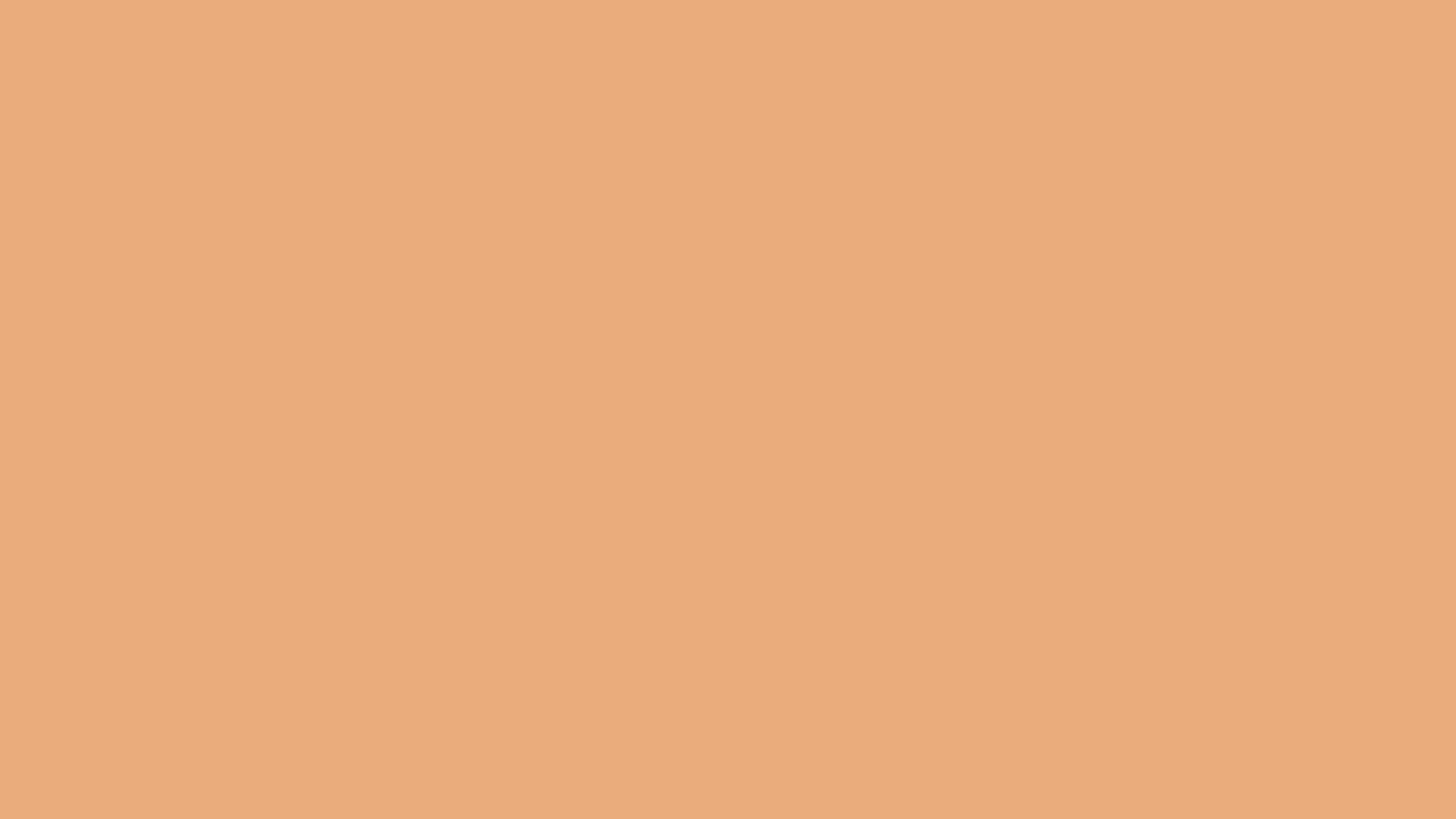 Download a free high-resolution solid color background image of Pantone P 34-4 C Color | Hex color Code #eaac7c. Ideal for wallpapers, presentations, and digital art. #solidcolor #backgroundimage #color #eaac7c