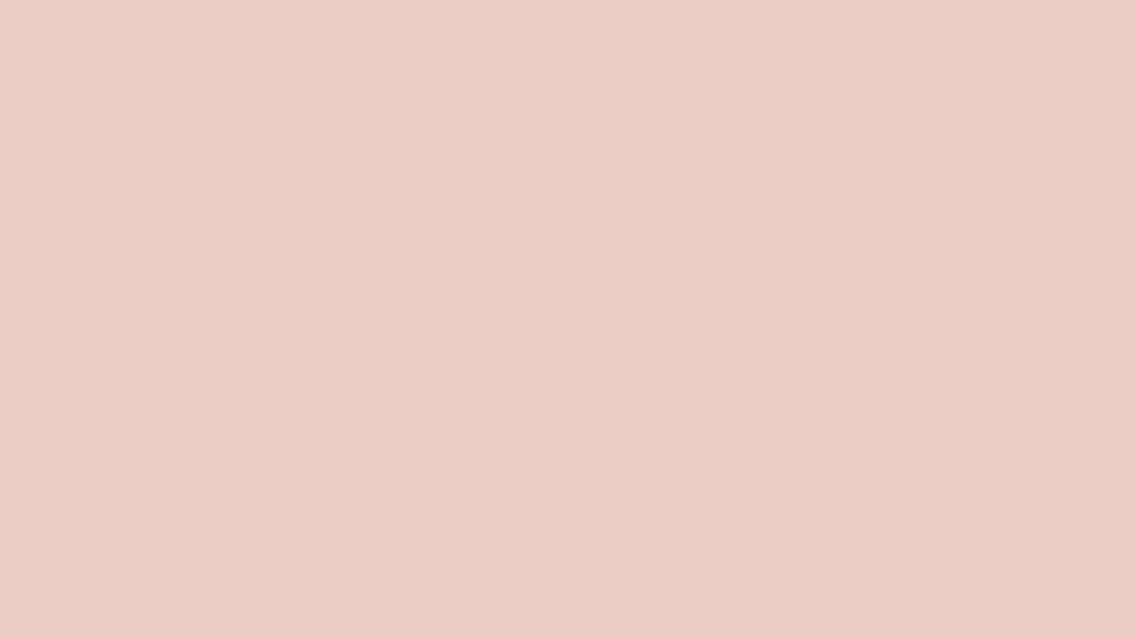 #ebccc4 Solid Color Image