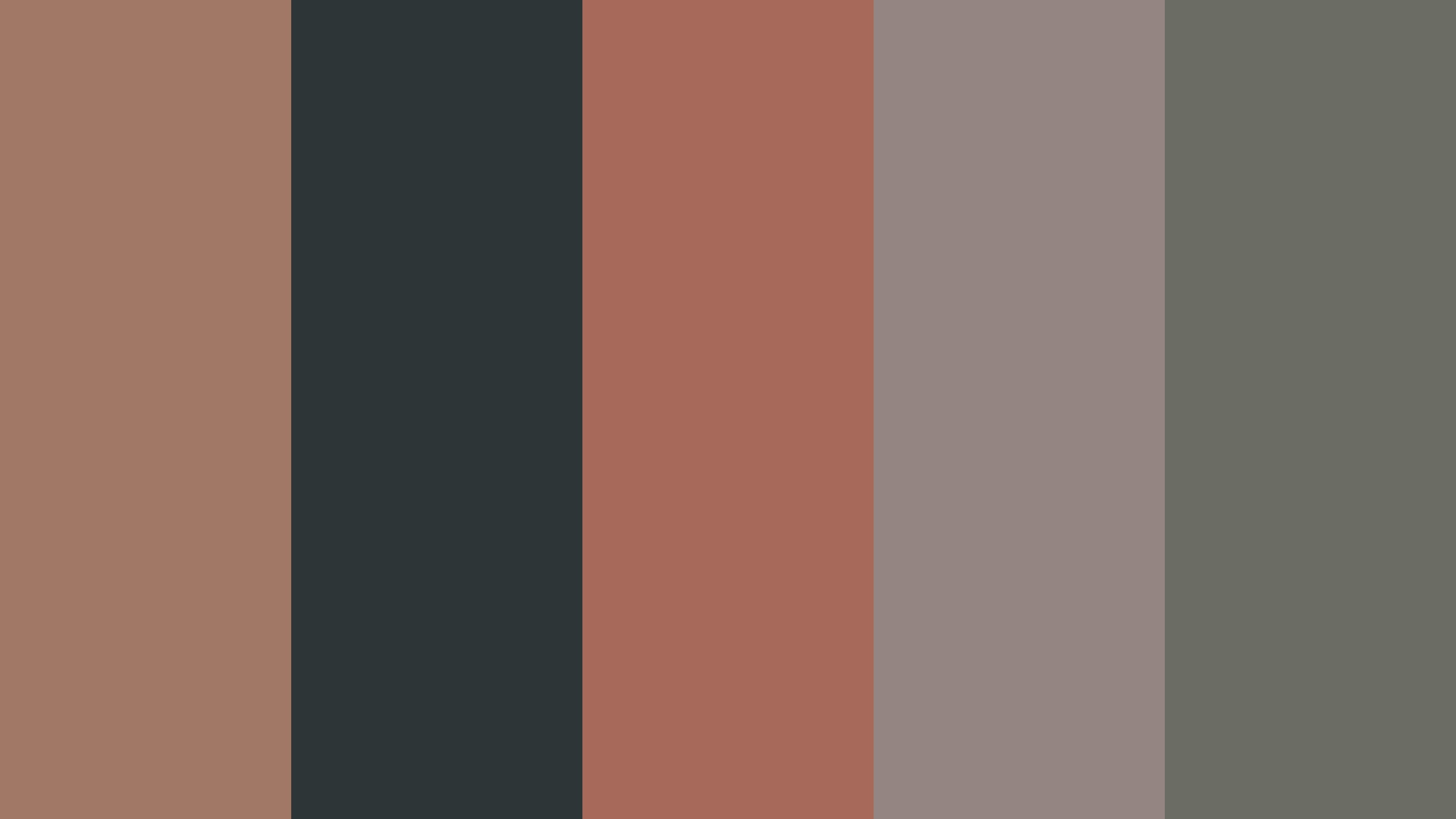 Dusty Storm Color Toast – Outer Space – Coral Tree – Hurricane – Storm Dust Color scheme ...
