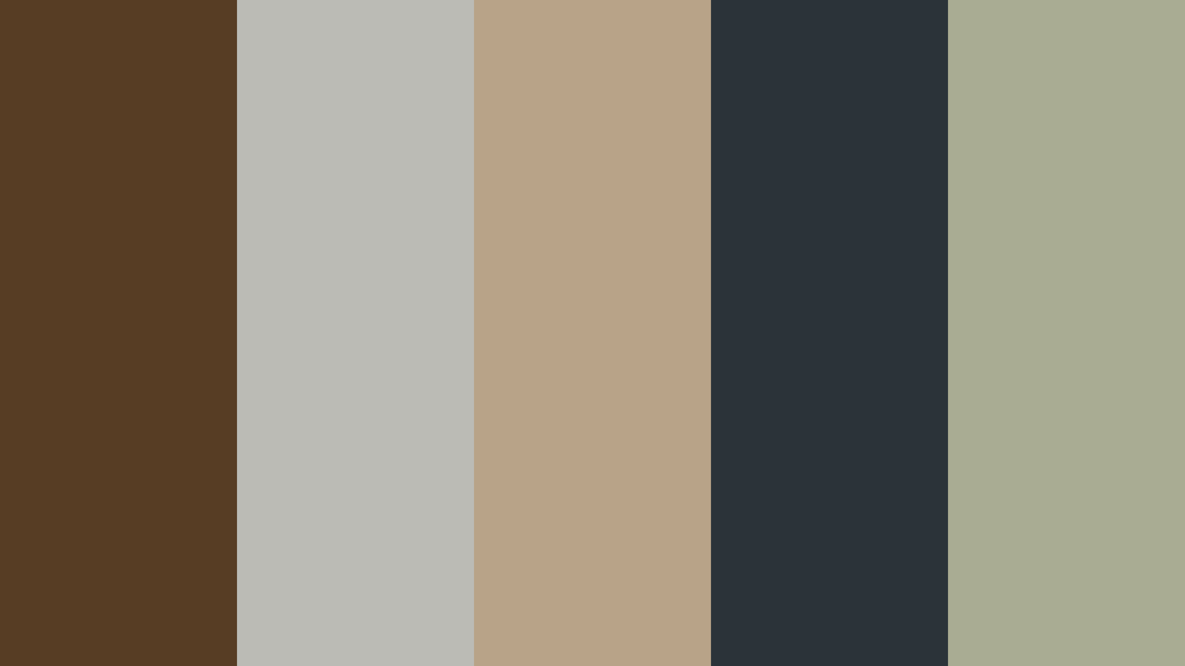 Irish Coffee – Gray Nickel – Mongoose – Outer Space – Locust Color ...