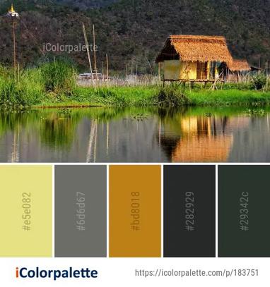 Reflection Nature Water Color Palette