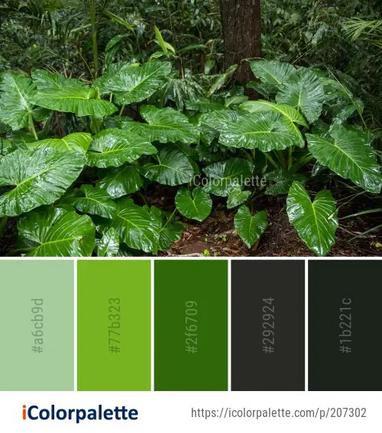 Leaf Green Plant Color Palette