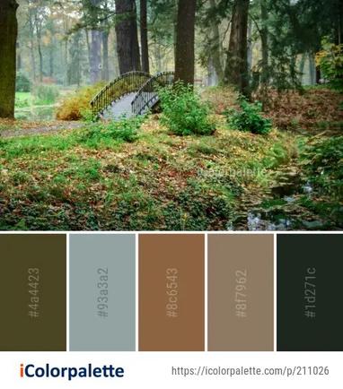Nature Woodland Green Color Palette