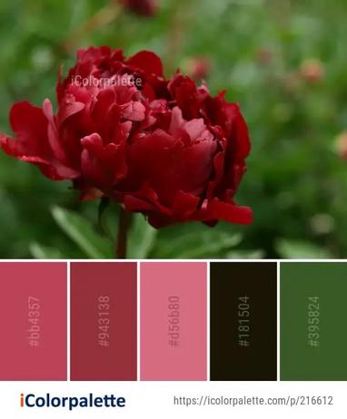 277 Peony Color Palette ideas in 2022 | iColorpalette
