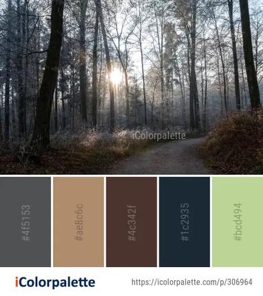 Woodland Forest Nature Color Palette