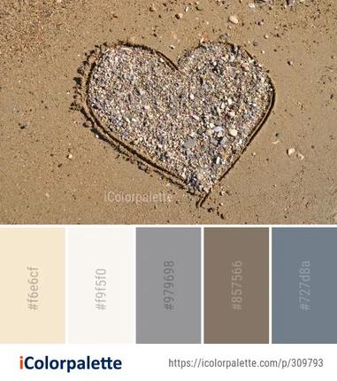 Color Palette Ideas from Sand Wood Material Image, iColorpalette