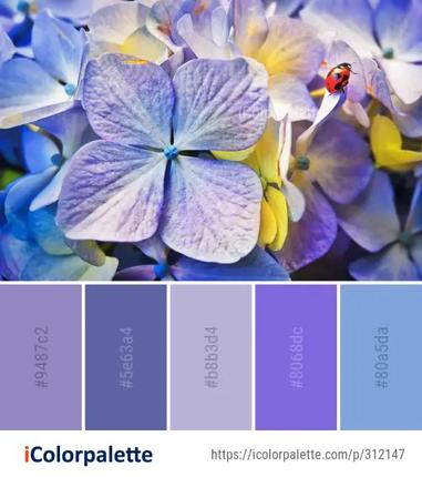 276 Hydrangea Color Palette ideas in 2022 | iColorpalette