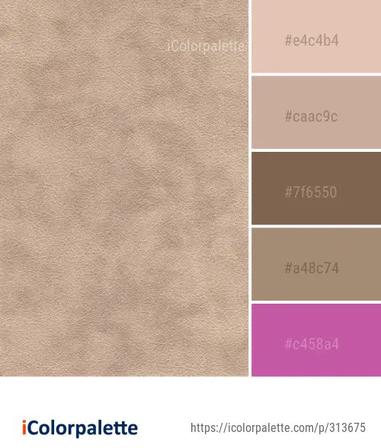 white and beige  Color Palette Ideas