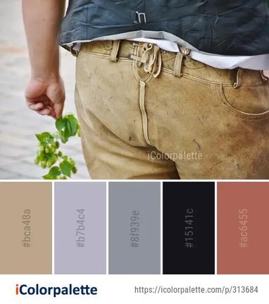 2 Trousers Color Palette ideas in 2023 | iColorpalette