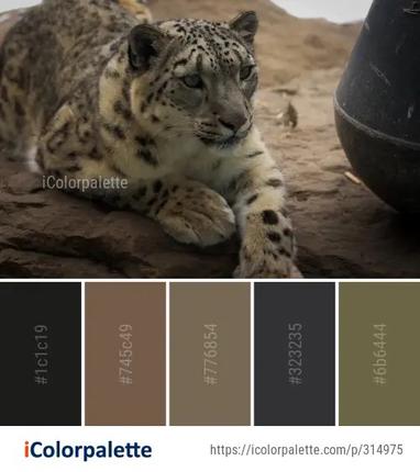 Snow Leopard (Leopard skin) Concept