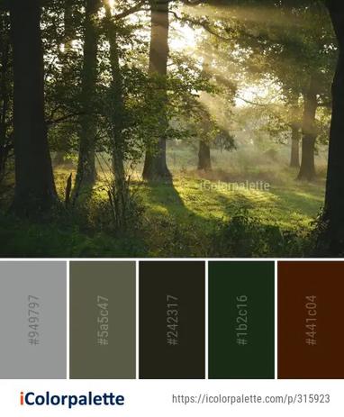 Woodland Forest Nature Color Palette