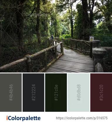 Forest Green Nature Color Palette