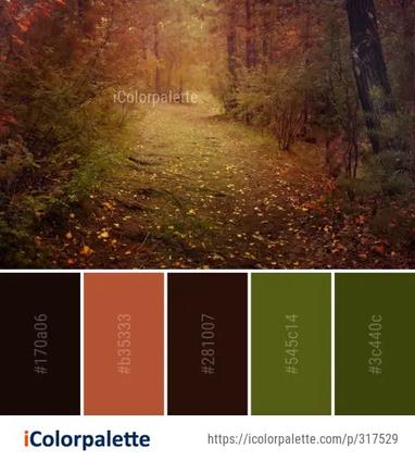 104 Rainforest Color Palette ideas in 2019, iColorpalette