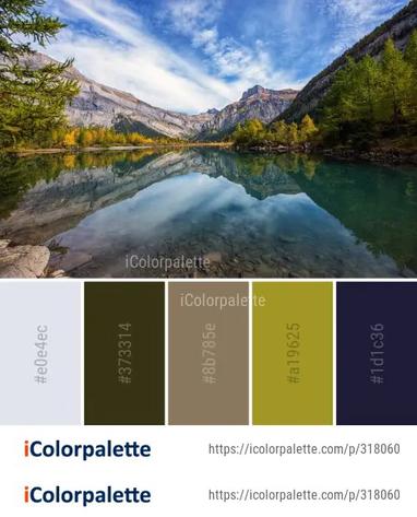 Reflection Nature Water Color Palette