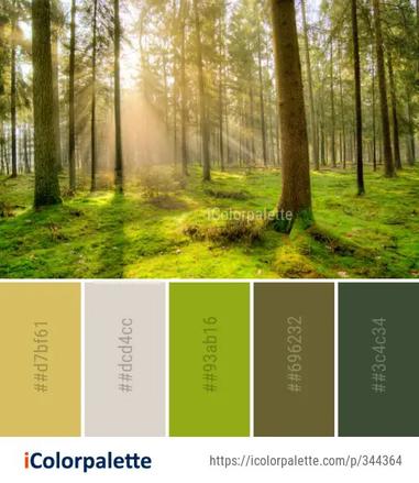 Woodland Forest Nature Color Palette