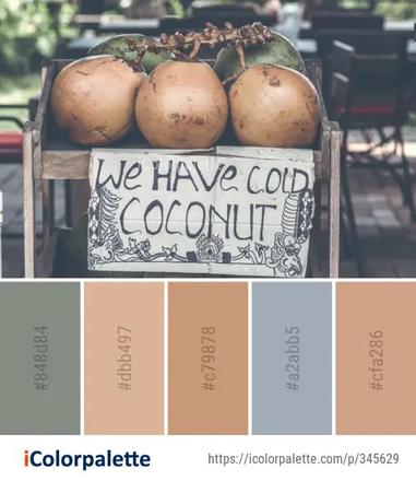 31 Food Color Palettes for Appetizing Designs - Color Meanings