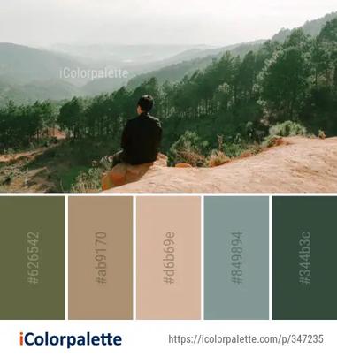 Color Palette Ideas