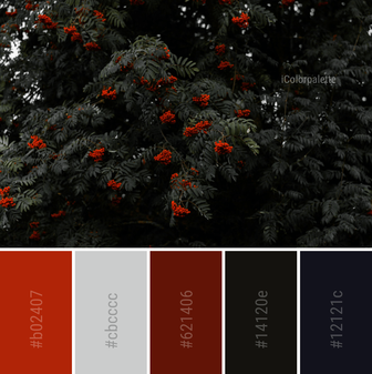 100+ Color palettes for background designs | Curated collection of Color  Palettes