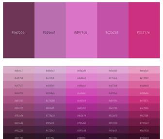 110+ Latest Color Schemes with Deep Pink And Medium Violet Red Color tone  combinations, 2024