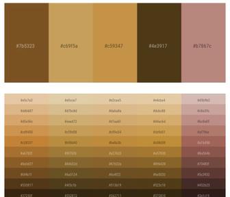 Color Palette In Shades Of Brown Colour Theme Collections Color