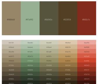 1 Latest Color Schemes with Mocha And Limed Ash Color tone combinations, 2024