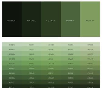 Hunter Green Color - HEX #0B4008 Meaning and Live Previews - PaletteMaker