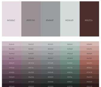 Cowboys Color Palette