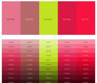 1 Latest Color Schemes with Shocking Pink And Red Ribbon Color tone  combinations, 2023