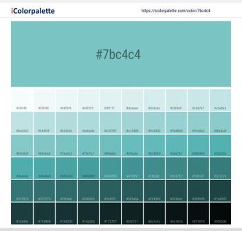 Approval Studio on X: 2003: Aqua Sky Pantone did a 180 by choosing an Aqua  Sky for 2003. A cool shade of blue-green color represents serenity and  clearness. Actually, Pantone experts were