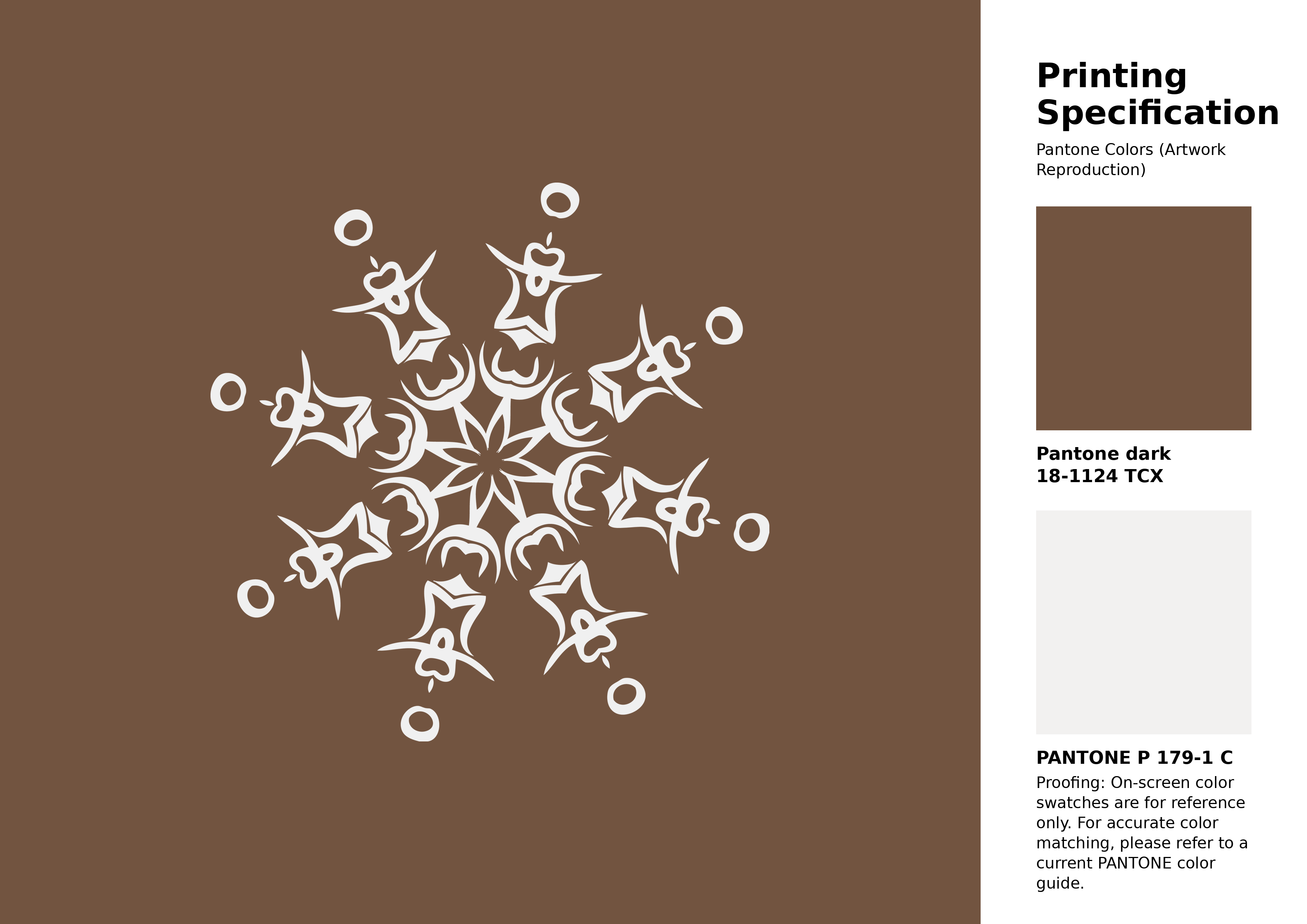 Hex Color #725440 | Printing Match PANTONE 18-1124 TCX | Color