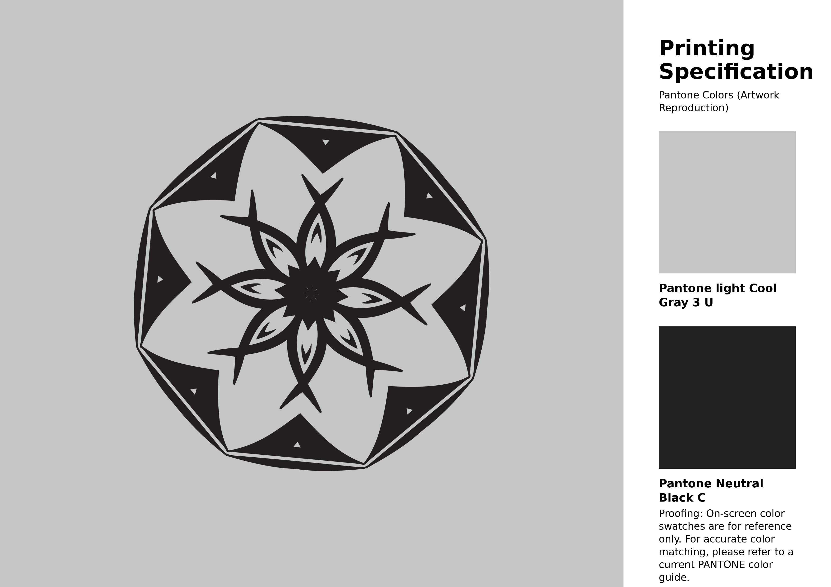 Hex Color #c5c5c5 information | Hsl | Rgb | Pantone