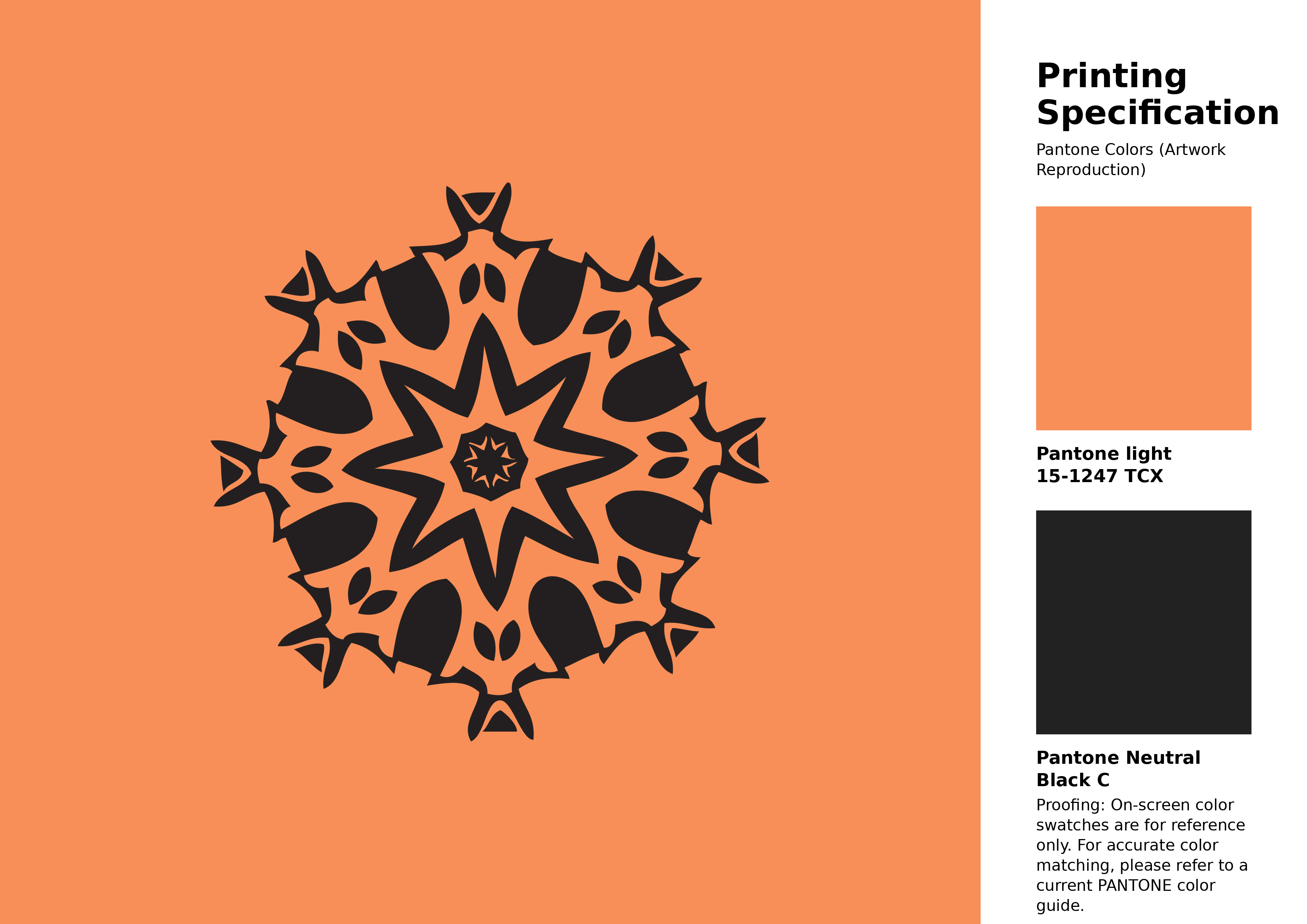 Hex Color #f88f58 | Printing Match PANTONE 15-1247 TCX | Color